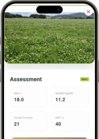 Feed Assessment